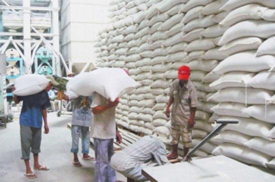 Xuất khẩu từ đầu năm đến nay đạt 2,9 triệu tấn gạo, cho trị giá FOB khoảng 1,3 tỷ USD.