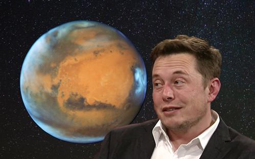 Elon Musk - CEO Tesla và Space X.<br>