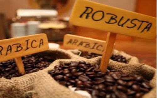 Cà phê của vụ mới đang được chào bán với giá trừ lùi 30 USD/tấn so với 
giá kỳ hạn, trong khi cà phê của vụ cũ có mức giá cộng 80 - 100 USD/tấn.