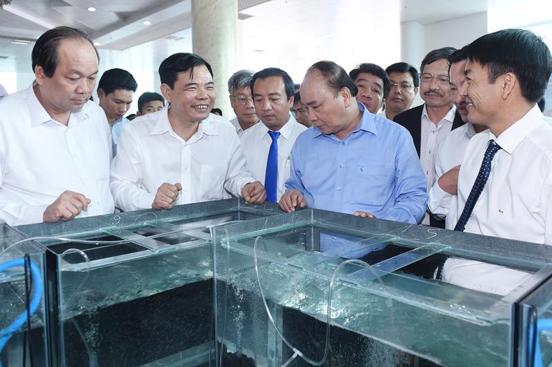Thủ tướng Nguyễn Xuân Phúc thăm một trung tâm tôm giống tại Cà Mau.<br>