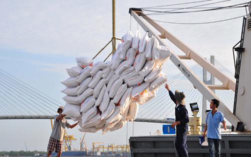 Điều kiện kinh doanh với xuất khẩu gạo tiếp tục gây nhiều tranh cãi.