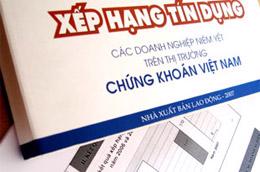 Theo, ông Phạm Công Uẩn, Giám đốc CIC, đối với nước có nền kinh tế phát triển như Việt Nam, thị trường tín dụng là một thị trường có nhiều tiềm năng phát triển.