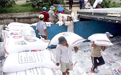Giá xuất khẩu gạo bình quân tháng 1 đạt 457 USD/tấn, giảm 20,1% so với cùng kỳ năm 2012.