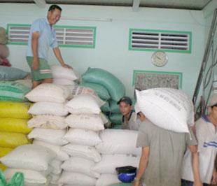 Mỗi năm An Giang có thể xuất khẩu từ 500.000 - 700.000 tấn gạo.