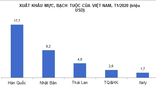 Xuất khẩu mực, bạch tuộc của Việt Nam trong tháng 1/2021.