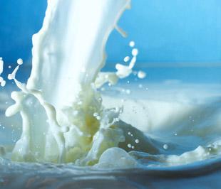 Hội Tiêu chuẩn và bảo vệ người tiêu dùng Việt Nam cho biết, so với các nước Âu - Mỹ, giá bán lẻ sữa ở Việt Nam đắt gấp 2-3 lần.