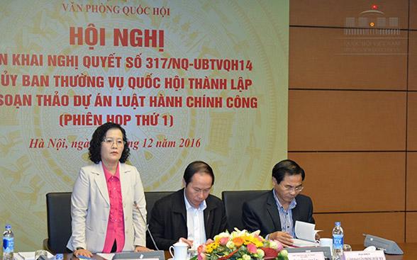 Đại biểu Trần Thị Quốc Khánh phát biểu trong phiên họp thứ nhất của Ban soạn thảo dự án Luật Hành chính công.