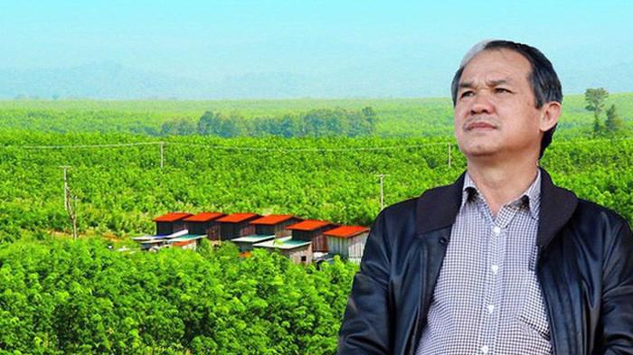 Nông nghiệp Hoàng Anh Gia Lai đang phải "bán con" cho Thaco