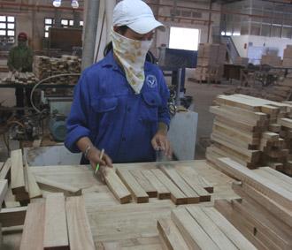 Tính đến cuối tháng 5, tổng kim ngạch nhập khẩu gỗ nguyên liệu của Việt Nam là 456 triệu USD, tăng 28% so với cùng kì 2007 - Ảnh: Trần An.