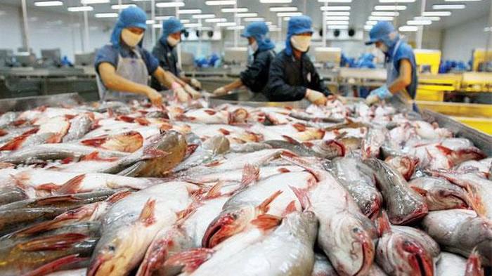 FSIS đề xuất công nhận Việt Nam đủ điều kiện xuất khẩu cá da trơn vào Mỹ.