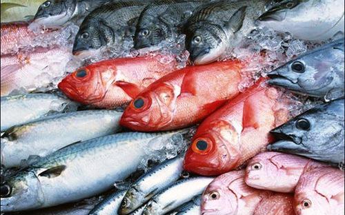 Thông tin về chất lượng hải sản tầng đáy tại vùng biển 4 tỉnh miền Trung hiện vẫn chưa được công bố thống nhất.<br>