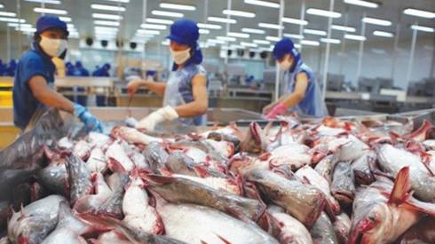 Bộ Nông nghiệp và Phát triển Nông thôn chính thức đưa ra quan điểm sau khi Mỹ phán quyết tăng thuế lên cá tra Việt Nam.