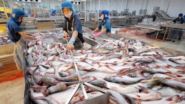 Trung Quốc vẫn được coi là tâm điểm của nhiều doanh nghiệp xuất khẩu cá tra Việt Nam trong năm 2018.