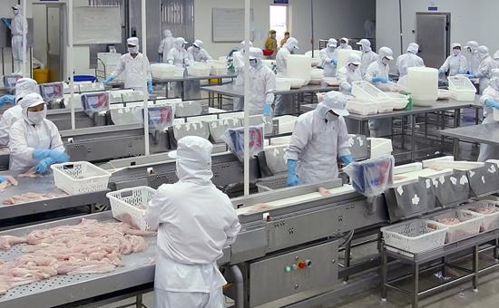 HOSSE đã chấp thuận về nguyên tắc cho Công ty Cổ phần Đầu tư và Phát triển Đa Quốc Gia I.D.I đăng ký niêm yết 38 triệu cổ phiếu trên HOSE.
