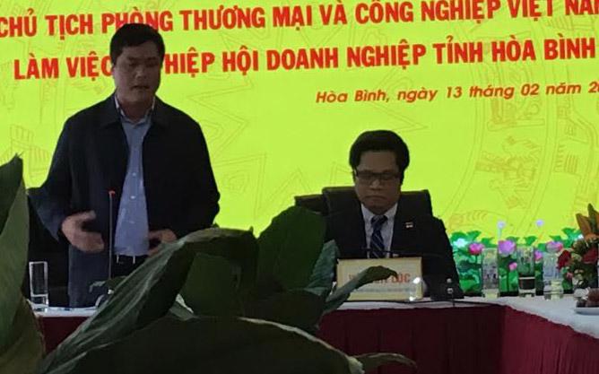 Chủ tịch Hiệp hội doanh nghiệp tỉnh Hoà Bình Nguyễn Cao Sơn phát biểu trong buổi làm việc với Chủ tịch Phòng Thương mại và Công nghiệp Việt Nam (VCCI) chiều 13/2.