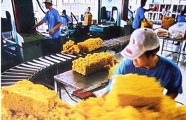 Năm 2011, nhiều dự báo cho rằng xuất khẩu cao su của Việt Nam sẽ tiếp tục gặp thuận lợi.