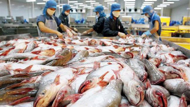Top 3 thị trường xuất khẩu cá tra lớn nhất lần lượt là: Trung Quốc, Mỹ và EU.