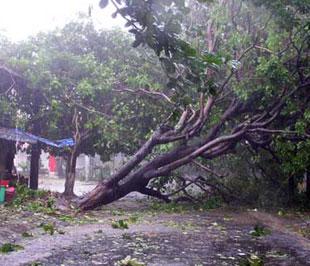 Hiện vẫn chưa thống kê cụ thể được về những thiệt hại do cơn bão số 9 gây ra đối với khu vực miền Trung nước ta.
