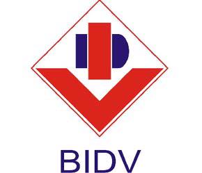 BIDV cho biết sẽ cố gắng đưa tỷ lệ nợ xấu xuống dưới 5% theo chuẩn mực quốc tế trước thời điểm cổ phần hóa.
