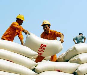Việt Nam vẫn tiếp tục duy trì được các thị trường xuất khẩu gạo truyền thống - Ảnh: Việt Tuấn.
