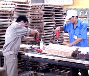 Khai thác nguyên liệu gỗ có thể sẽ bị áp mức thuế suất thuế tài nguyên cao nhất đến 40% - Ảnh: Anh Quân.