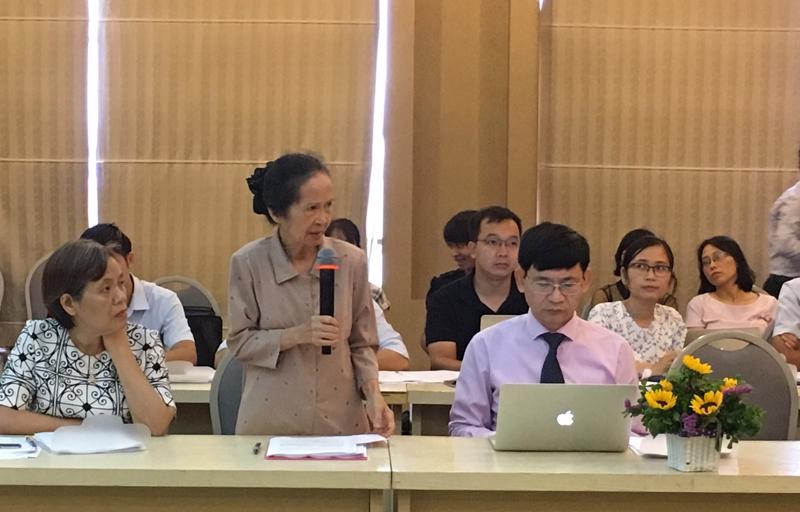 Chuyên gia Phạm Chi Lan phát biểu tại hội thảo.