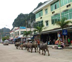 Lạng Sơn được đánh giá là tỉnh có vị trí thuận lợi về địa lý và giao thông.