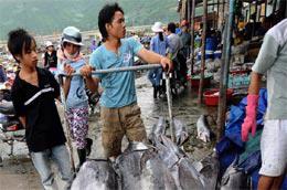 Một chợ cá tại Đà Nẵng. Trận bão vào miền Trung vừa rồi đã “góp sức” đẩy chỉ số giá nhóm hàng ăn, dịch vụ ăn uống tháng này tăng ở một số tỉnh - Ảnh: Getty Images.
