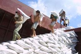 Lượng gạo xuất khẩu cả năm 2009 đạt 5,8 triệu tấn, kim ngạch thu về 2,6 tỷ USD.