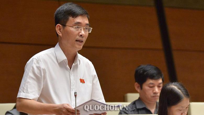 Đại biểu Hoàng Quang Hàm phát biểu tại phiên họp.