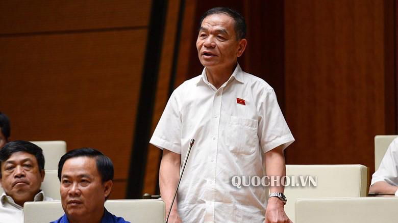 Đại biểu Lê Thanh Vân phát biểu tại phiên thảo luận về dự kiến chương trình giám sát của Quốc hội năm 2020.