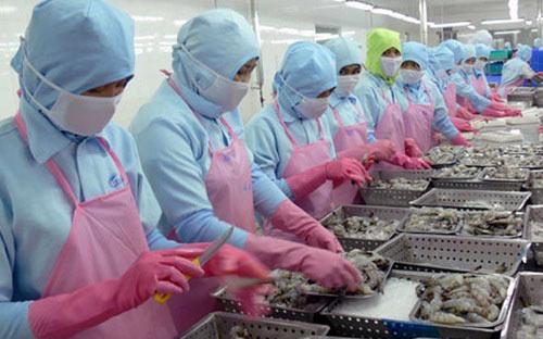  Công ty Minh Phú bị áp thuế chống bán phá giá 5,08%, Công ty Nha Trang 
Seafoods (7,05%) và mức thuế toàn quốc cho tất cả các công ty khác là 
6,07%.