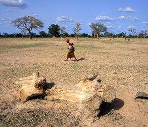 Châu Phi có đến 2/3 diện tích là sa mạc hoặc vùng đất khô.
