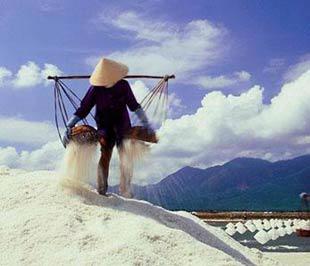 Việt Nam được đánh giá là nơi “địa lợi” cho nghề muối.