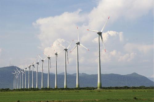 Công nghiệp điện gió ở Việt Nam mới trong giai đoạn sơ khai.