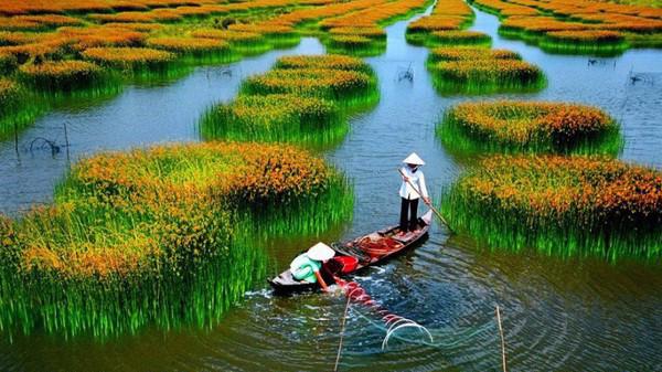 Mục tiêu của ngành du lịch Việt Nam năm 2020 là thu 20 tỷ USD từ khách quốc tế. 