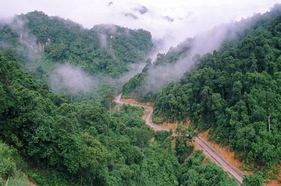 Đường 20 chạy qua vùng lõi của Di sản thiên nhiên thế giới Vườn quốc gia Phong Nha - Kẻ Bàng.