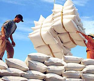 Hiện ở Đông Timo hầu hết nhu cầu về gạo đều phải nhập khẩu. 
