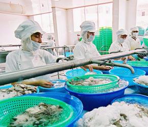 Nhiều doanh nghiệp phải đồng loạt tăng công suất hoạt động - Ảnh: Việt Tuấn
