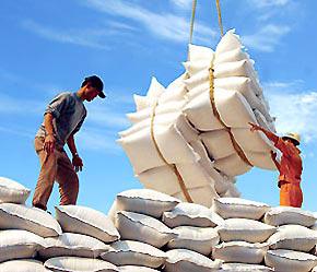 Giá gạo trong nước hiện khoảng 3 triệu đồng/tấn, tương đương 188USD. Trên thị trường thế giới, giá gạo Việt Nam tăng 35 - 42USD/tấn.