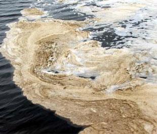 Nước sông Thị Vải ô nhiễm nặng.