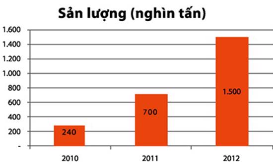 Chiến lược khai thác và sản xuất của HAG