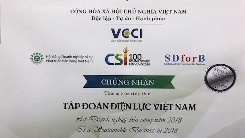 Việc đạt được danh hiệu "Doanh nghiệp bền vững Việt Nam năm 2018" đã góp phần khẳng định kết quả tích cực đối với những nỗ lực không ngừng của EVN.