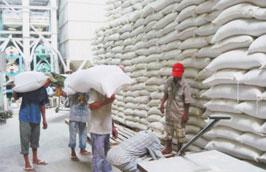 Hai tháng đầu năm 2011 đã có 1,1 triệu tấn gạo được xuất khẩu từ nước ta.