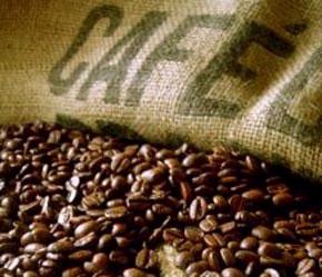 Giá cà phê arabica tăng mạnh đã thúc đẩy giá cà phê robusta giao ngay tại London hai tuần qua tăng hơn 2%, ngày 3/10 đạt 1.880 USD/tấn.