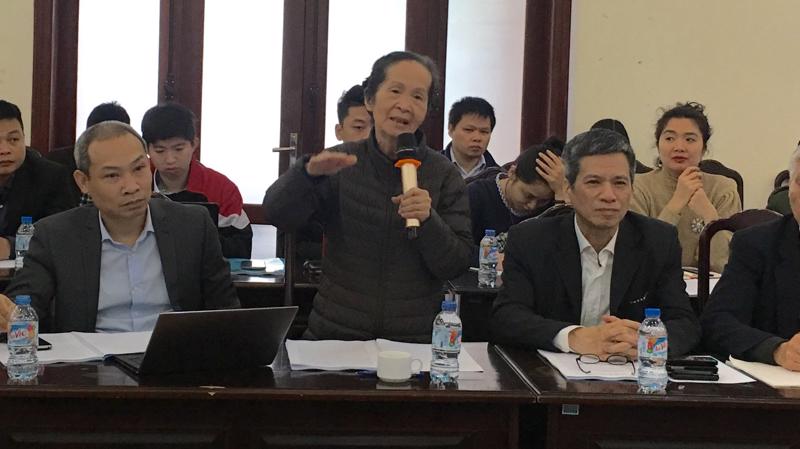 Chuyên gia kinh tế Phạm Chi Lan phát biểu tại hội thảo.