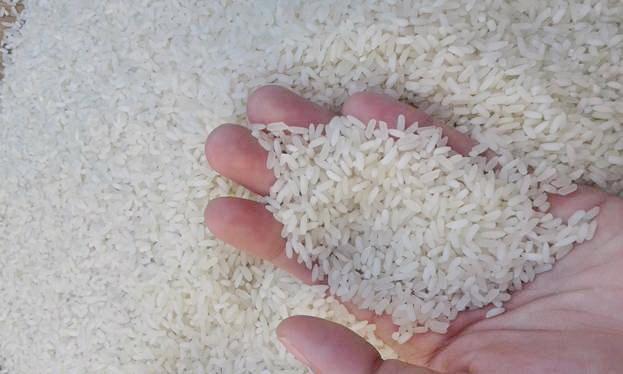 Bộ Công Thương khẳng định thông tin giấy phép xuất khẩu gạo 20.000 USD là bịa đặt.