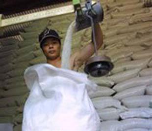 Công nhân Tổng công ty lương thực Miền Bắc đang đóng gạo xuất khẩu - Ảnh: TL