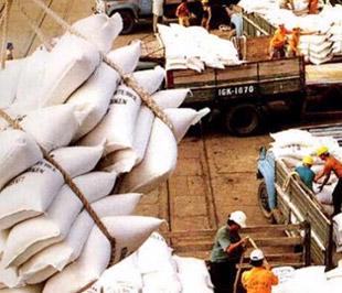 Dự kiến năm 2009, Việt Nam xuất khẩu từ 4,5 triệu đến 5 triệu tấn gạo.