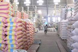 Việc mua gạo dự trữ góp phần bình ổn giá lúa vụ Đông Xuân.